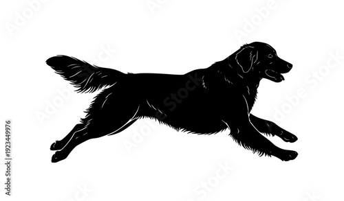 Golden retriever running dog silhouette vector energetic canine pet isolated black symbol illustration
