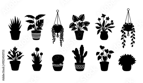 Modern Indoor Plants and Succulent Collection Vector Set with Hanging Planters on White Background