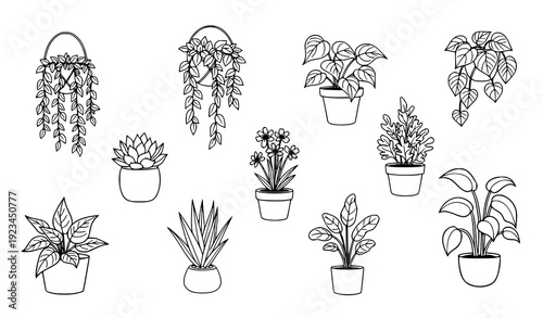 Minimal Scandinavian Style Indoor and Hanging Plants Vector Illustration Set Isolated on White