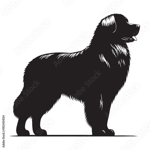 Leonberger Dog – Gentle Giant Guardian, Majestic Lion-Like Appearance, Loyal Family Protector, Intelligent, Calm, Powerful Working Breed, Thick Double Coat, Friendly Temperament, Devoted Companion.