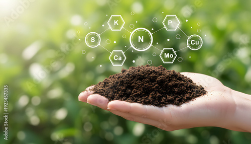 Hand holding soil with essential nutrients for healthy plant growth