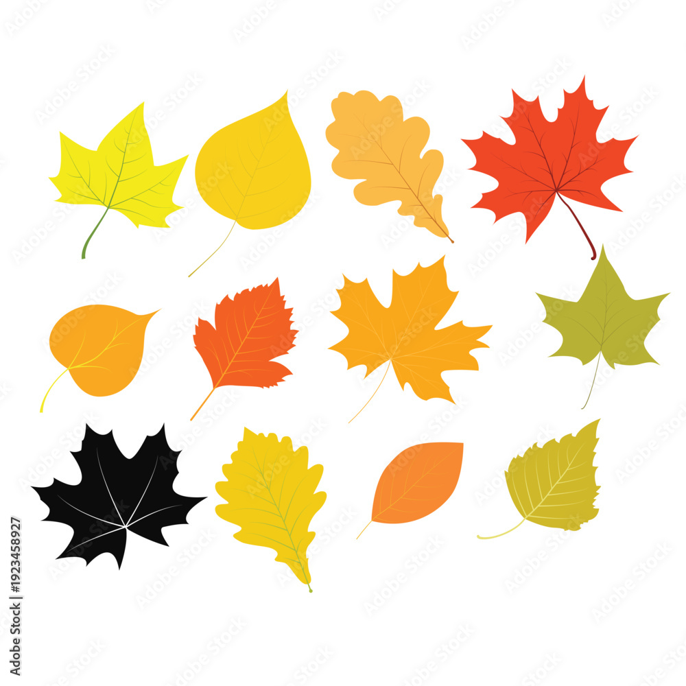 Fototapeta premium Art & Illustration