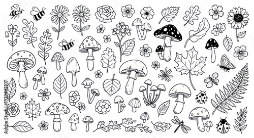 Hand drawn doodle set of various forest elements including mushrooms, leaves, flowers, and insects.