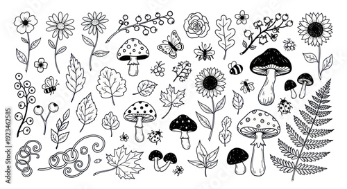 Hand-drawn botanical elements - mushrooms, flowers, leaves, and berries.
