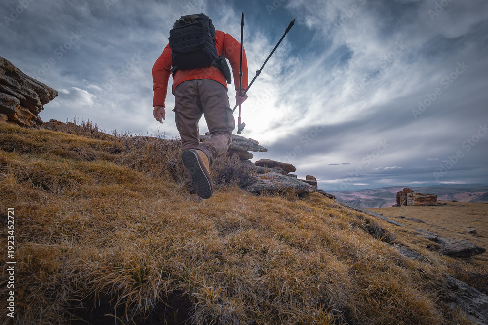 Obraz premium Low angle back view of a hiker in an orange jacket with a backpack and trekking poles walking up a grassy mountain slope.