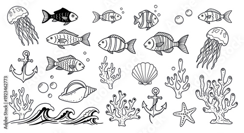 Hand-drawn marine life collection with fish, jellyfish, anchors, shells, and coral.