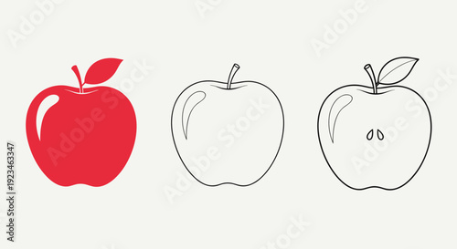 Illustration showing a red apple, an outline of an apple, and a cross-section of an apple to demonstrate different artistic and educational views.
