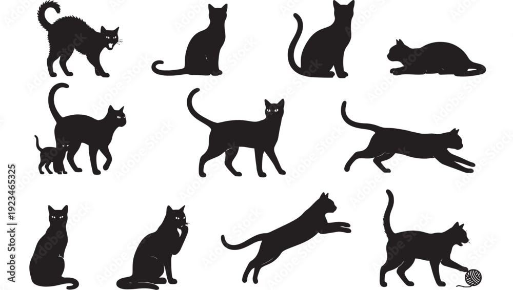 Obraz premium Cat silhouettes set in different poses, black domestic feline icons isolated on white background for design and decoration featuring cats, silhouette, pet with animal and kitten elements for kitty,