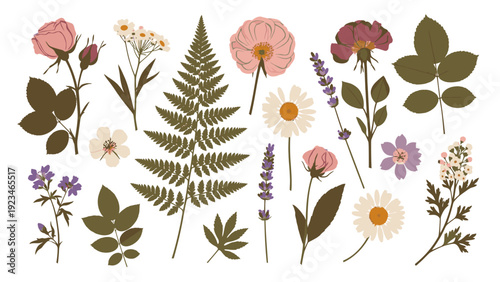 Flat lay composition of various wildflowers and leaves in pastel shades against a clean white background.