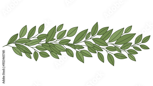 A single green leafy branch with multiple small leaves on a plain white background in a flat lay composition.