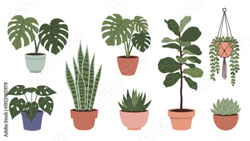 Collection of various potted plants and succulents arranged on a clean white background in a flat lay composition with a natural and calming mood.