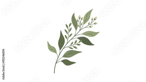 A minimalist illustration of a green leafy branch against a clean white background with a simple, natural aesthetic.