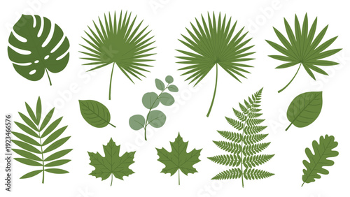 Collection of various green leaves on a white background, featuring different shapes and types in a flat lay composition with a natural and earthy mood.