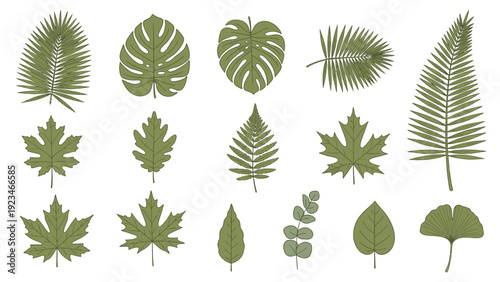 Collection of various green leaves on a white background in a flat lay composition with a minimalist style and natural color palette.