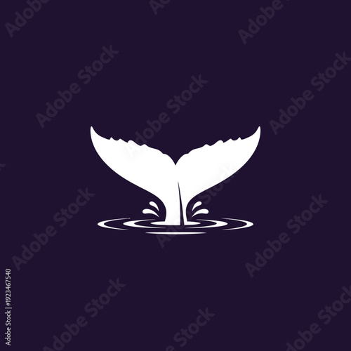 Photography White whale tail in water.