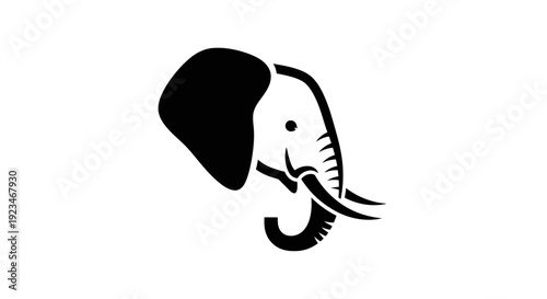 Photography Black and white elephant head silhouette.
