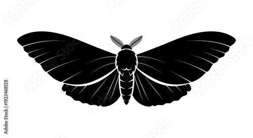 Black moth with open wings silhouette.