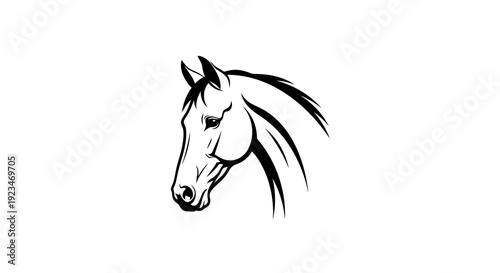 Foto Black and white horse head drawing.