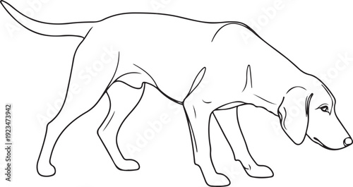Black and white line of a dog sniffing the ground line black and white animal