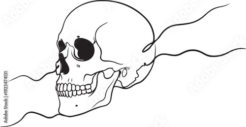 Black and white of a human skull with smoke line smoke wavy lines