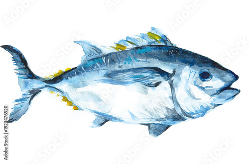 マグロの水彩イラスト素材