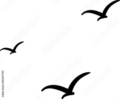 Bird Illustration, Outdoor Wildlife