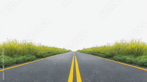 Wallpaper Mural Perspective View of Asphalt Road with Yellow Lines Green Vegetation Against White Sky on Sunny Day in Linear Perspective Torontodigital.ca