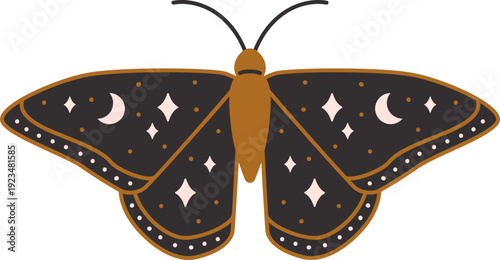 Mystic Butterfly Illustration, Esoteric Design