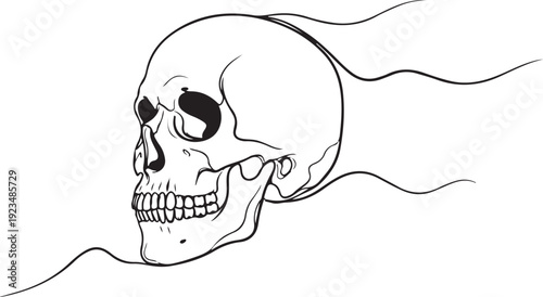 Black outline of a human skull with flowing lines on a white background black and white bone