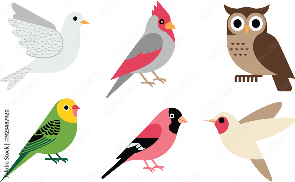 Obraz premium Cute cartoon bird vector set, colorful flat illustration collection of owl, parrot and small birds isolated on white background for kids design