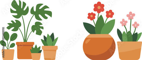 Collection of potted houseplants and flowering plants in ceramic pots isolated on white for home decor and interior design projects