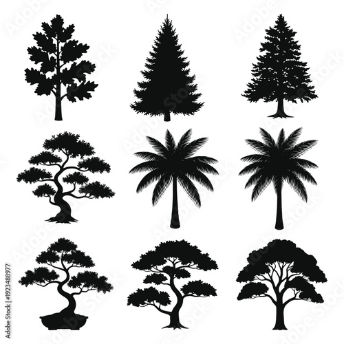 Set of six diverse trees including pine, palm, and bonsai vector illustration in black flat design on white background