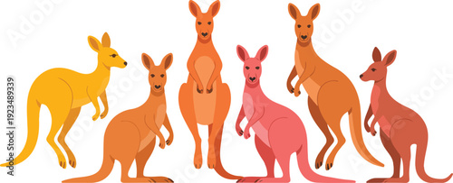 Cute kangaroo character collection vector illustration featuring adult kangaroos and baby joeys in different colors and poses isolated on white