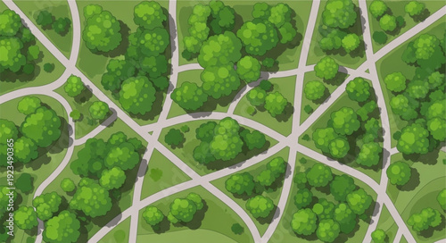 Aerial view of park pathways winding through lush green trees and foliage.