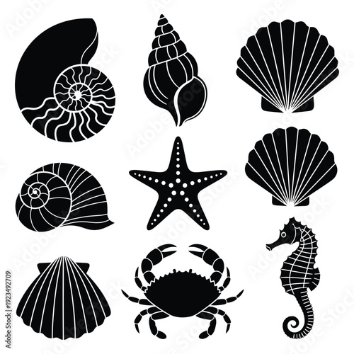Collection of black and white ocean creatures and seashells vector illustration