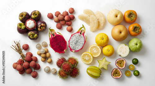 Assortment of fresh tropical fruits including mangosteen, lychee, dragon fruit, rambutan, pomelo, pear, persimmon, lemon, guava, star fruit, passion fruit, and kumquat on white background