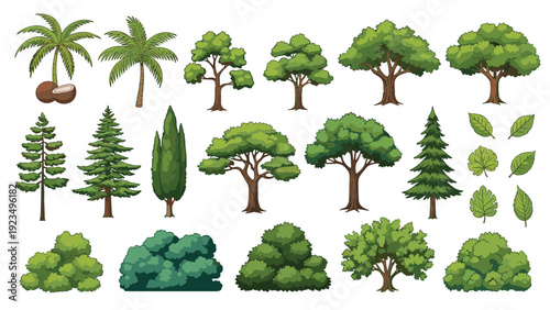 Collection of various green trees, pine trees, bushes, and palm trees with coconuts isolated on a clean white background.