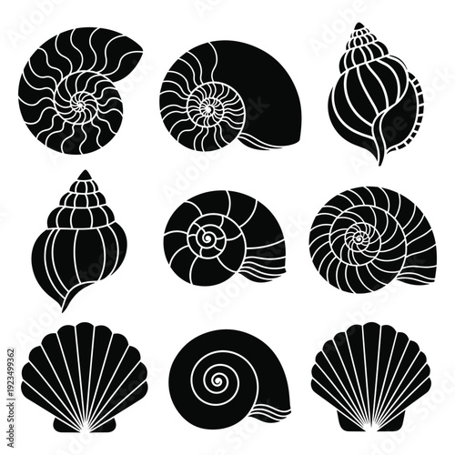 Collection of Black and White Seashell Vector Illustrations, Flat Design