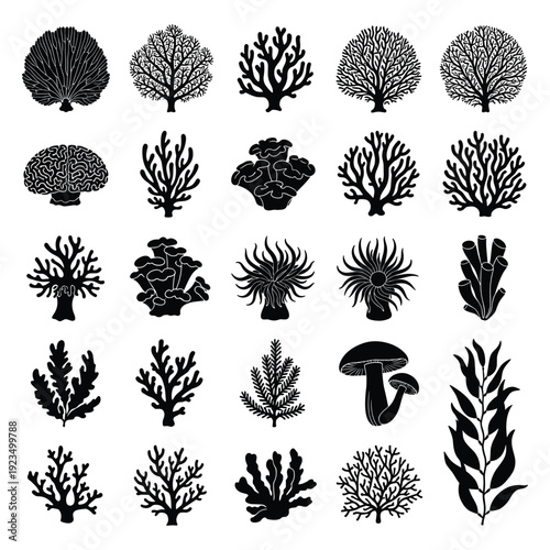 Photos Collection of black coral and seaweed silhouettes vector illustration