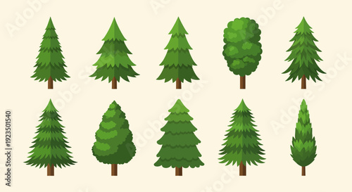 Collection of various cartoon evergreen trees illustrations.