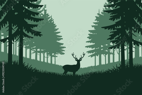 Deer with antlers in conifer forest silhouette