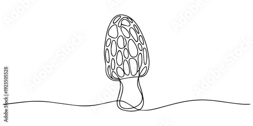 Morel mushroom continuous one line drawing, Nature food in simple linear style. Edible autumn harvest in editable stroke. Doodle monoline vector illustration, Vegetable symbol concept. Decorative elem