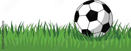 Backyard soccer ball on grass for leisure play