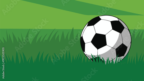 Soccer ball on grass for youth practice