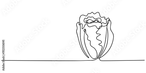 Fresh romaine lettuce continuous one line drawing, One single line drawing healthy organic green lettuce leaves for farm logo identity,  simple, hand drawn and sketch style. for icons, symbols, signs.