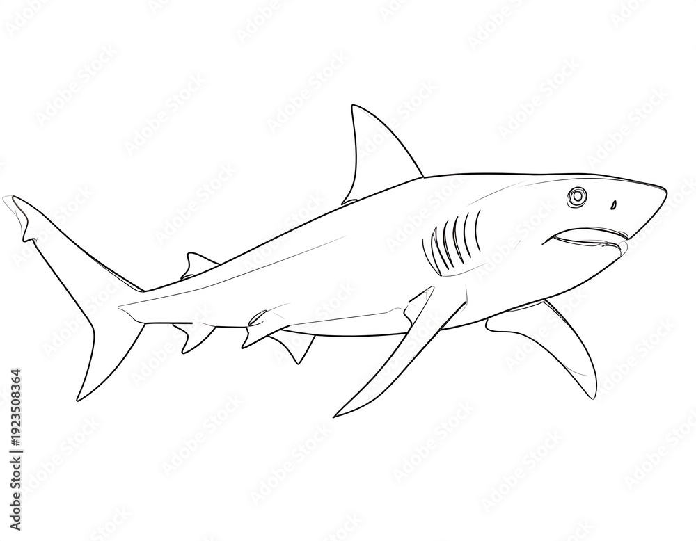 Fototapeta premium A simple line drawing of a shark with a solid white background