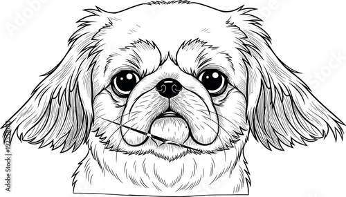 Black and white dog illustration, detailed canine portrait, pet artwork drawing, stylized animal design, expressive dog face, artistic line art style