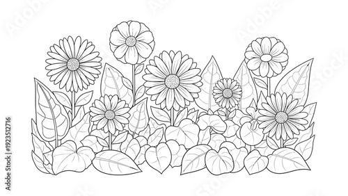 Detailed floral garden with blooming daisies and various leaves line art for coloring book