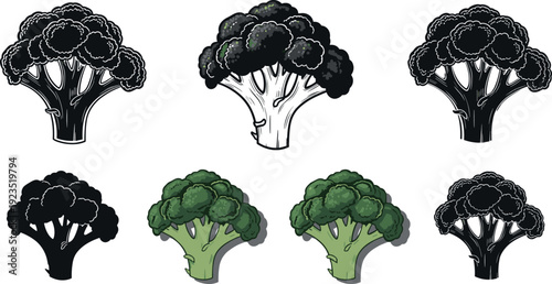 Broccoli vegetable illustration set, black silhouette and colored organic broccoli heads, healthy food vector collection isolated on background