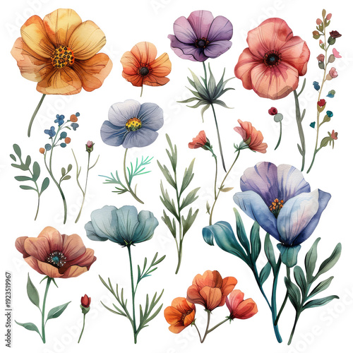Watercolor Painting of Various Flowers and Blooms.